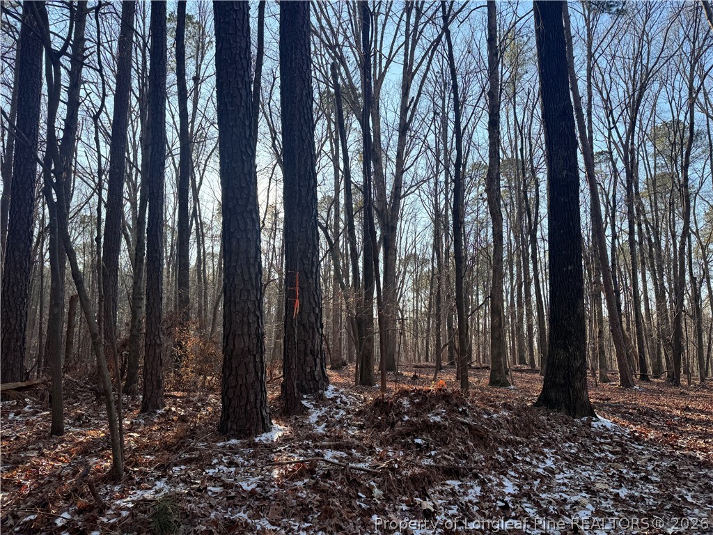 Oldham Lake Road Sanford, NC 27330 - Photo 7 of 15 a view of a backyard
