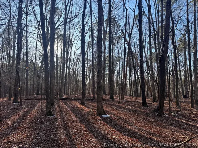 a backyard of a house with lots of trees