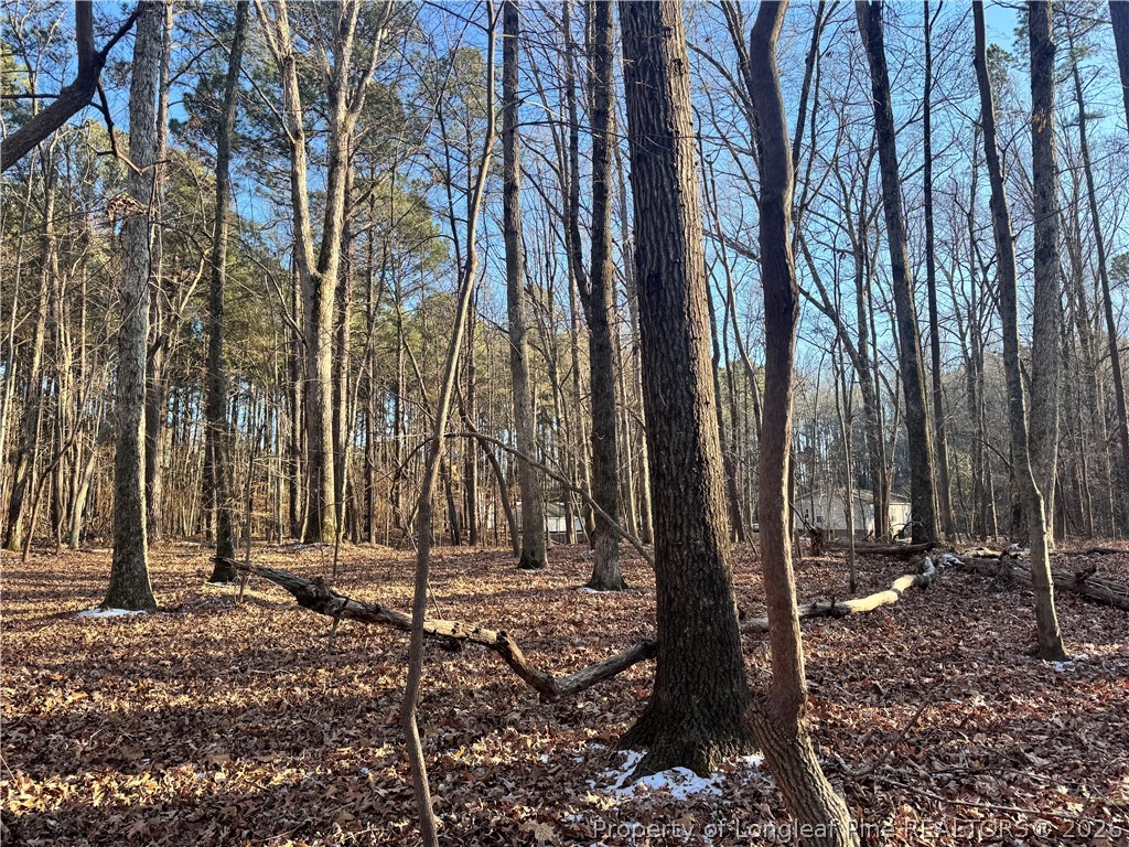 Oldham Lake Road Sanford, NC 27330 - Photo 9 of 15 a view of outdoor space with street view