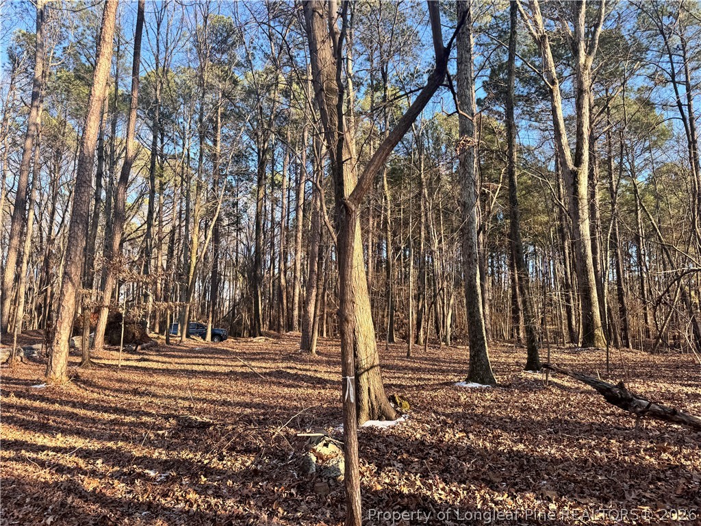 Oldham Lake Road Sanford, NC 27330 - Photo 10 of 15 a view of outdoor space with trees