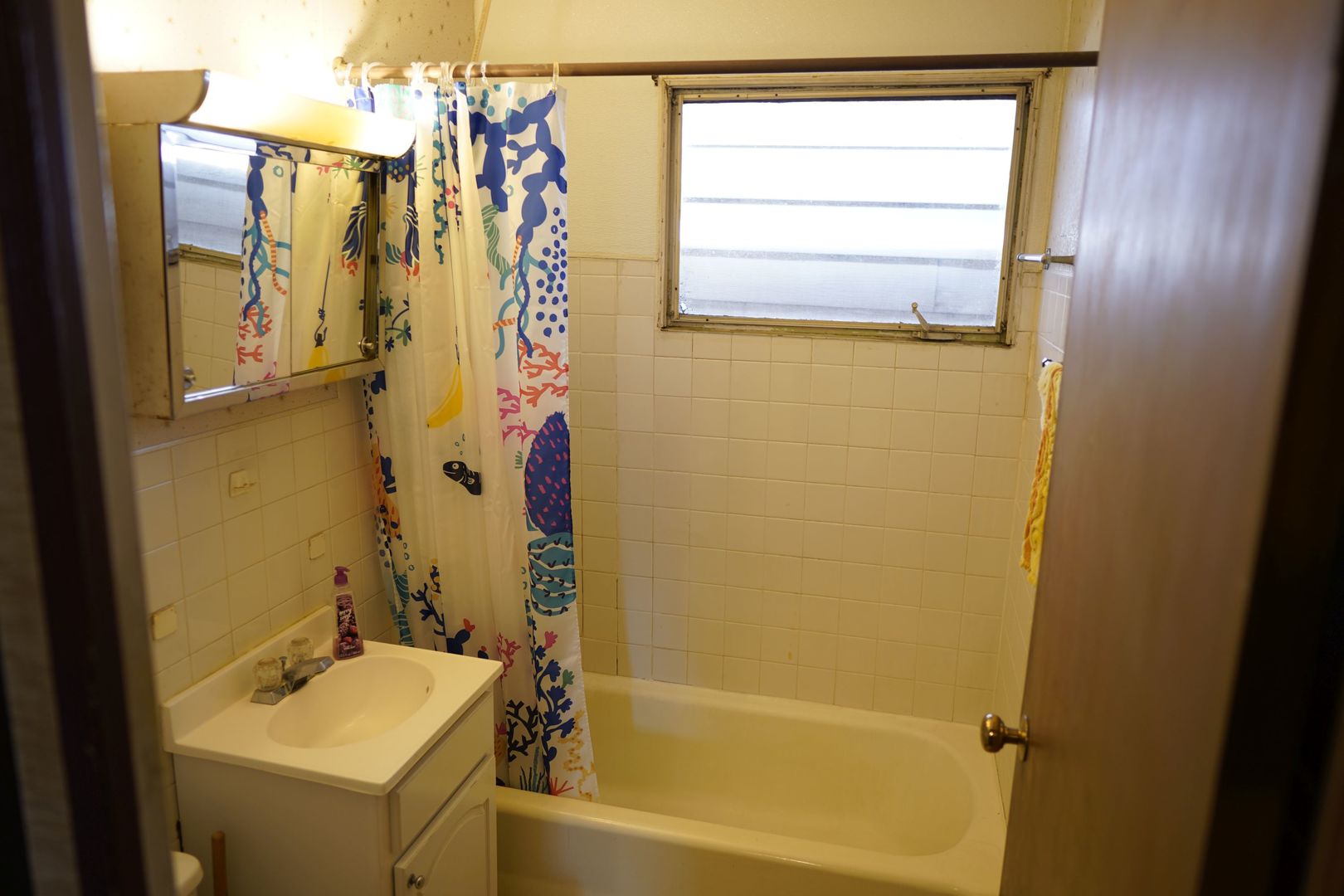 19 Helm Road Carpentersville, IL 60110 - Photo 12 of 49