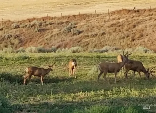 $329,900 | 937 Stewart Avenue, Unit B, Lewiston, ID 83501