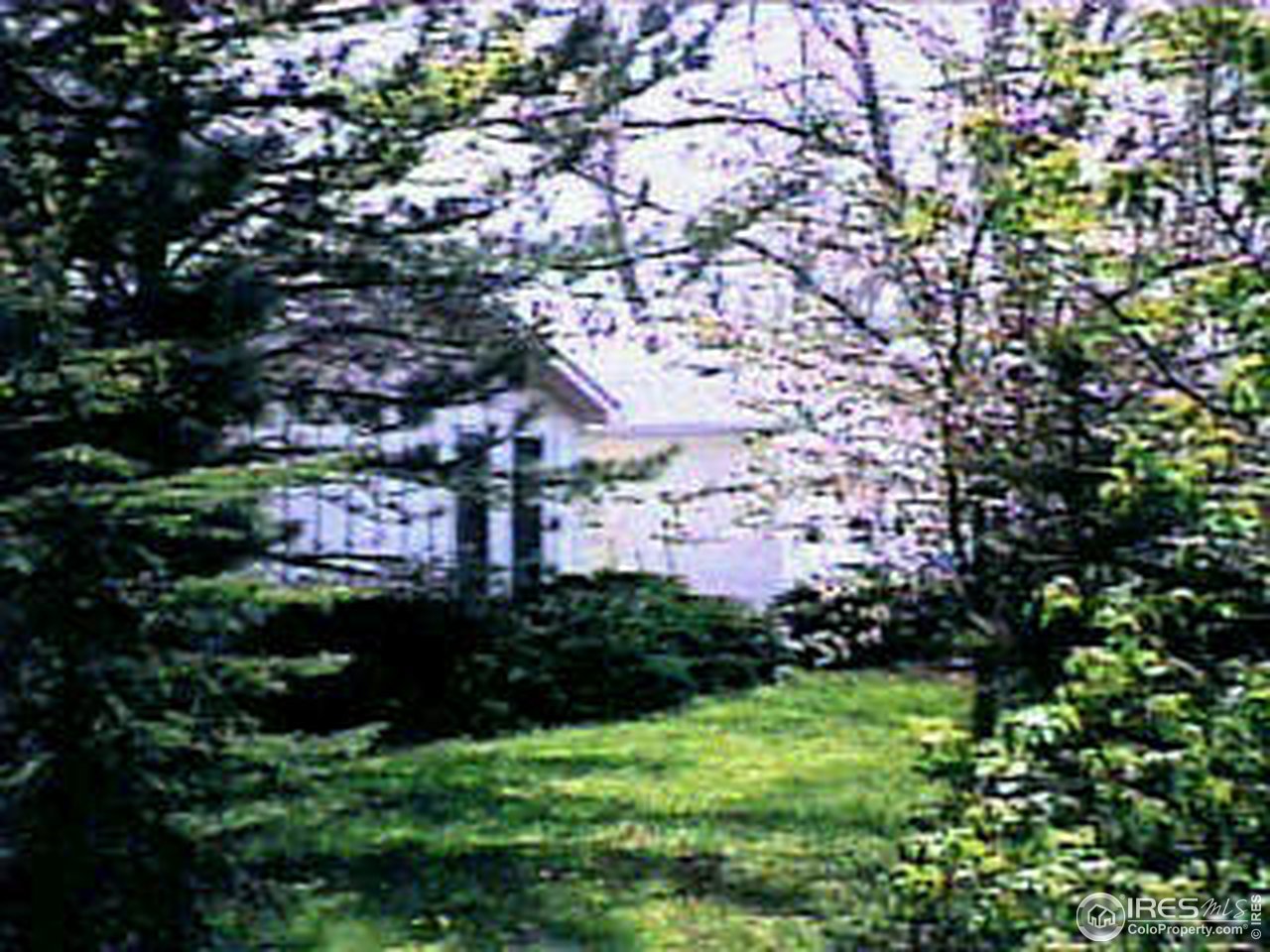 4062 Pleasant Ridge Road Boulder, CO 80301 - Photo 2 of 6 a view of residential houses with outdoor space and trees