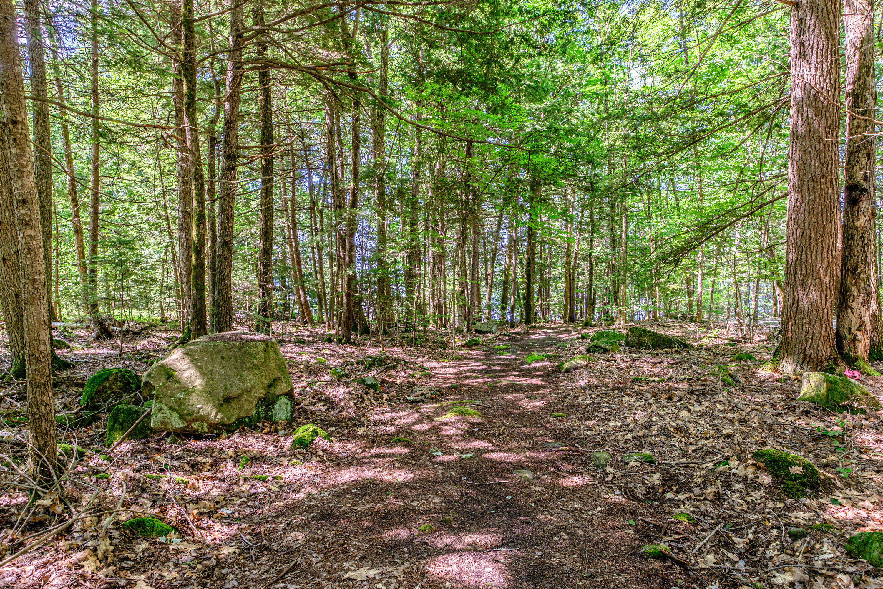 10 Bear Point Road Harrison, ME 04040 - Photo 79 of 86 20260624gp-61092