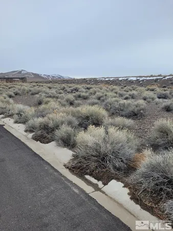 a view of a dry yard with wooden floor and fence