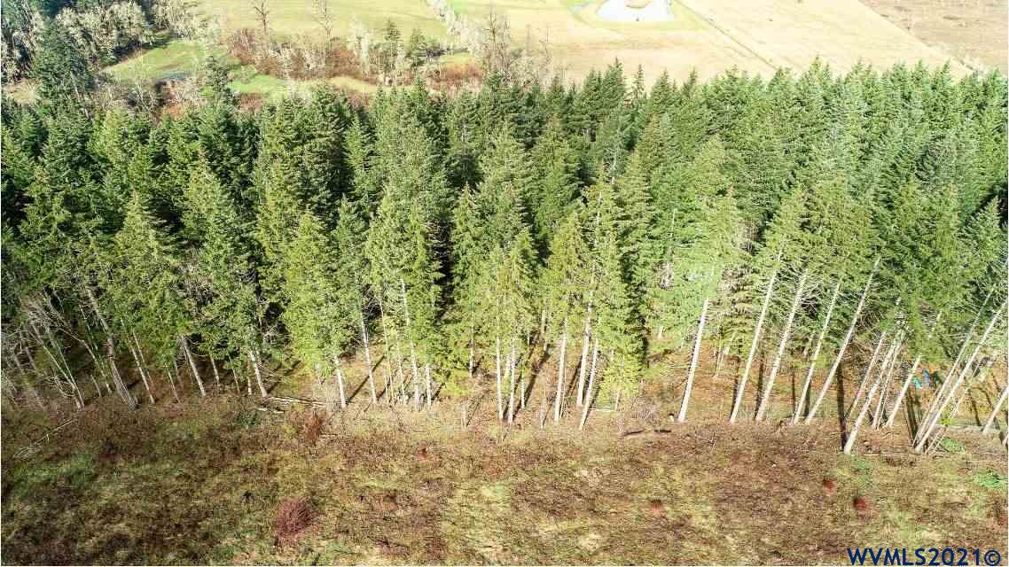 Gooseneck (parcel 289476) Road Sheridan, OR 97378 - Photo 3 of 23