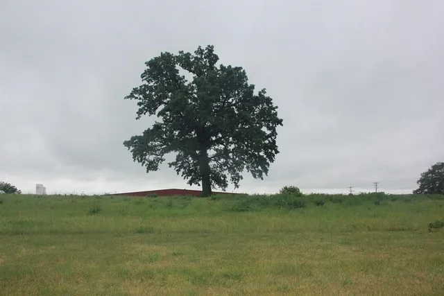 $229,000 | 95 Means Drive, Platteville, WI 53818