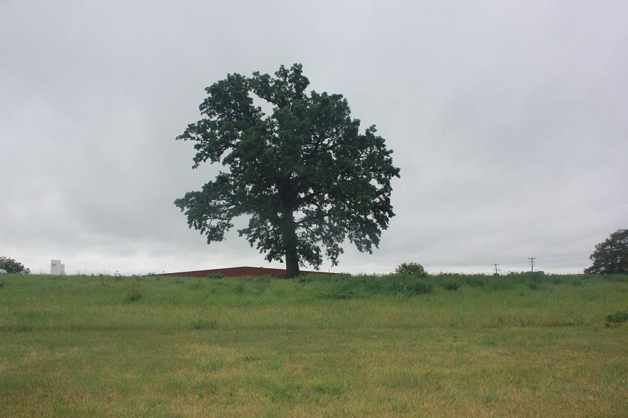 95 Means Drive Platteville, WI 53818 - Photo 4 of 10