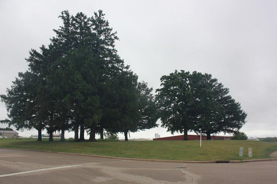 95 Means Drive Platteville, WI 53818 - Photo 6 of 10