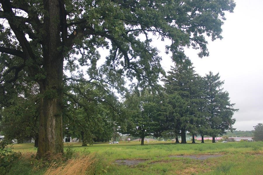 95 Means Drive Platteville, WI 53818 - Photo 10 of 10