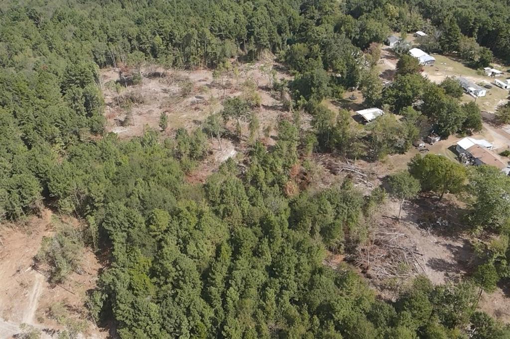 500 Uren Lee Road Overton, TX 75684 - Photo 5 of 18 a view of a forest with a forest