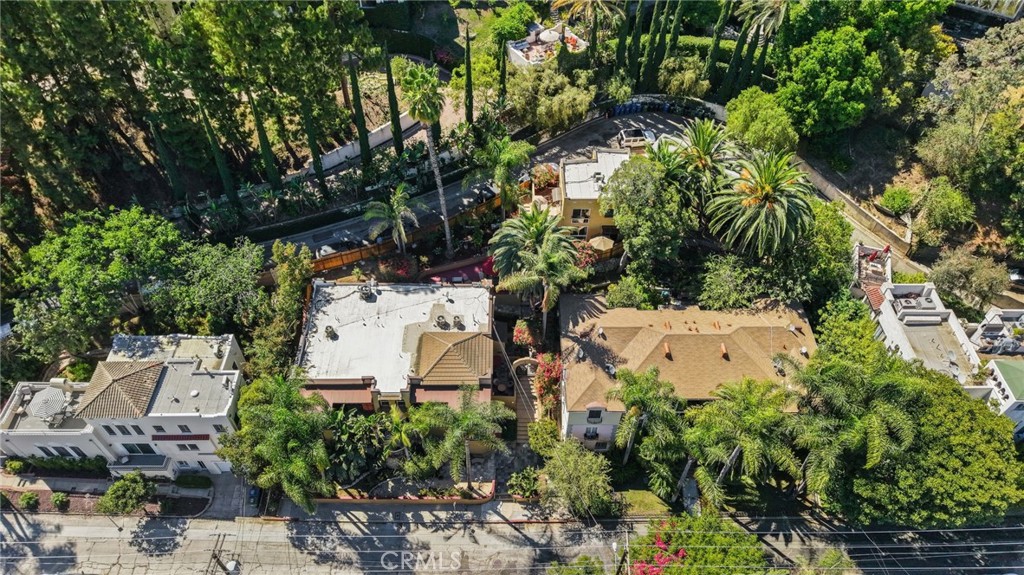 2258 Helios Drive Los Angeles, CA 90068 - Photo 22 of 27 a view of a garden with plants