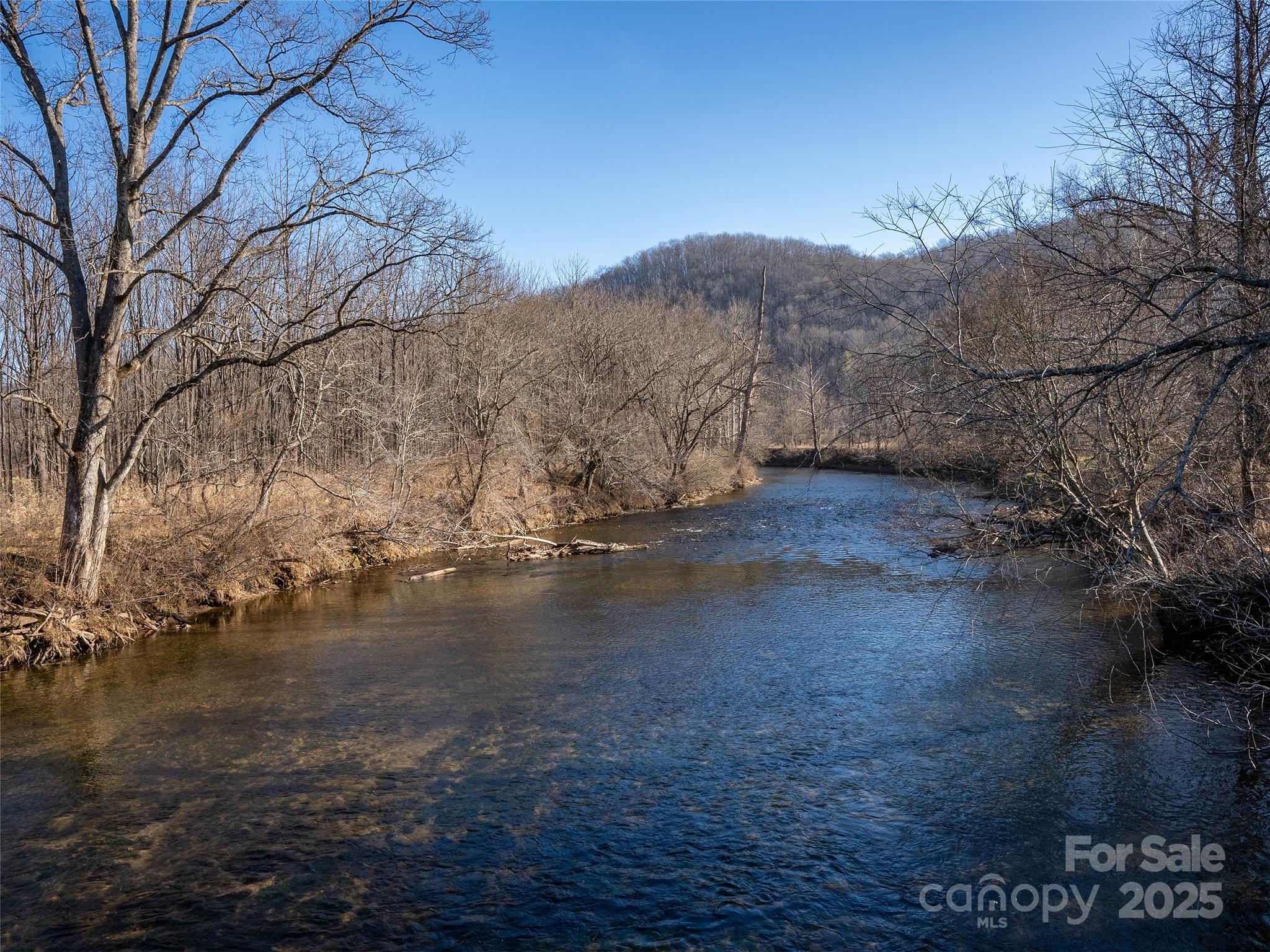 0 Lyons Mountain Road Brevard, NC 28712 - Photo 10 of 15
