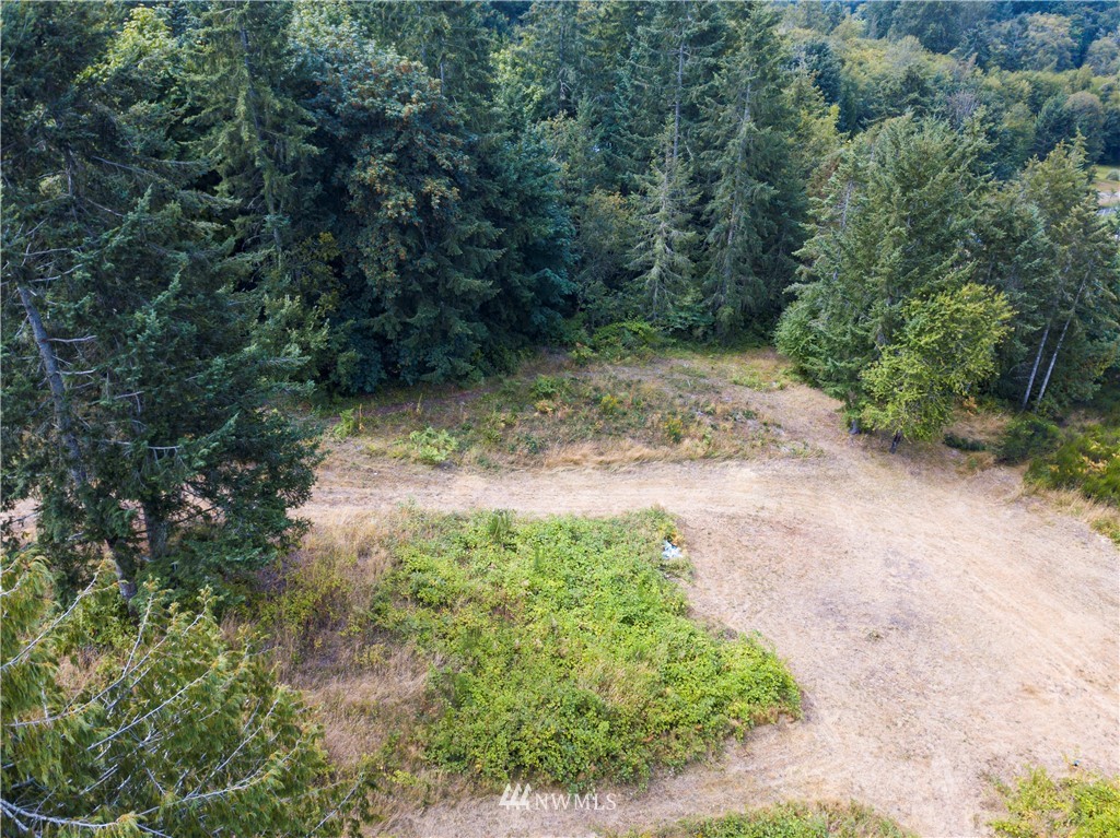 123 Olalla Valley Road Southeast Olalla, WA 98359 - Photo 11 of 19 Gallery Image 11