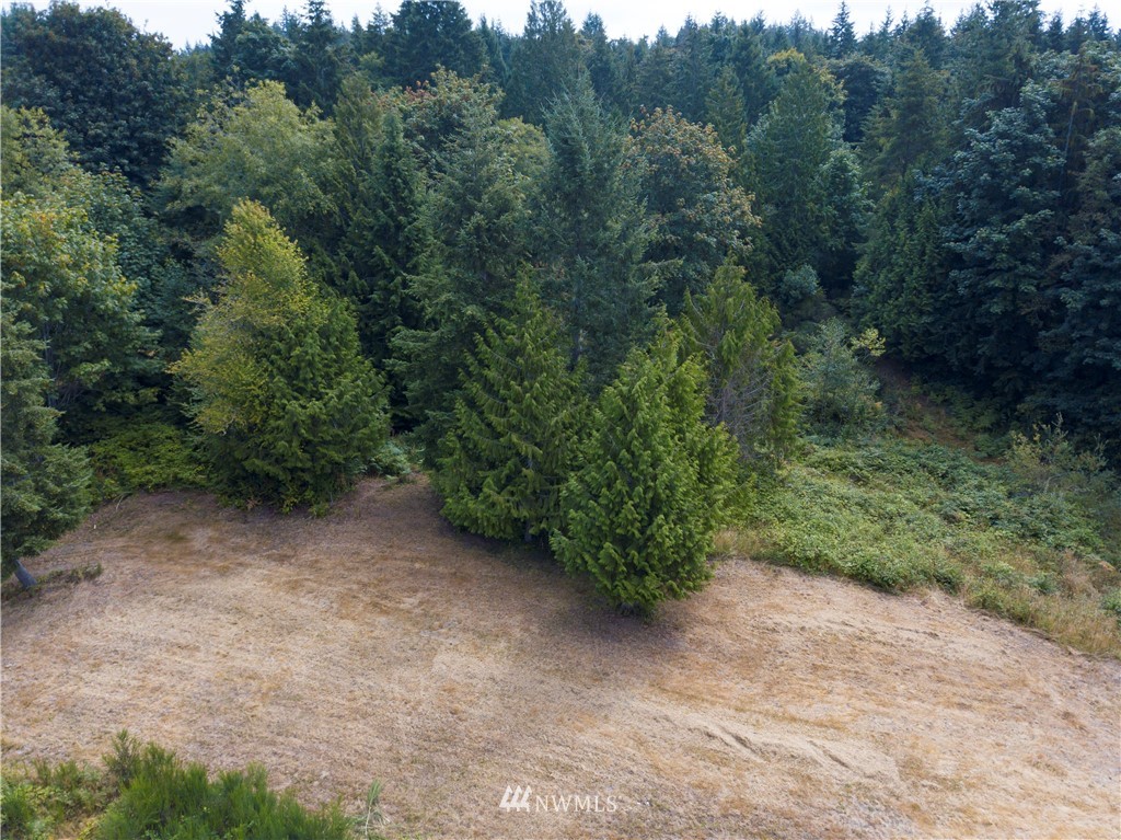 123 Olalla Valley Road Southeast Olalla, WA 98359 - Photo 12 of 19 Gallery Image 12