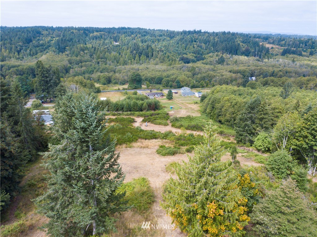 123 Olalla Valley Road Southeast Olalla, WA 98359 - Photo 14 of 19 Gallery Image 14