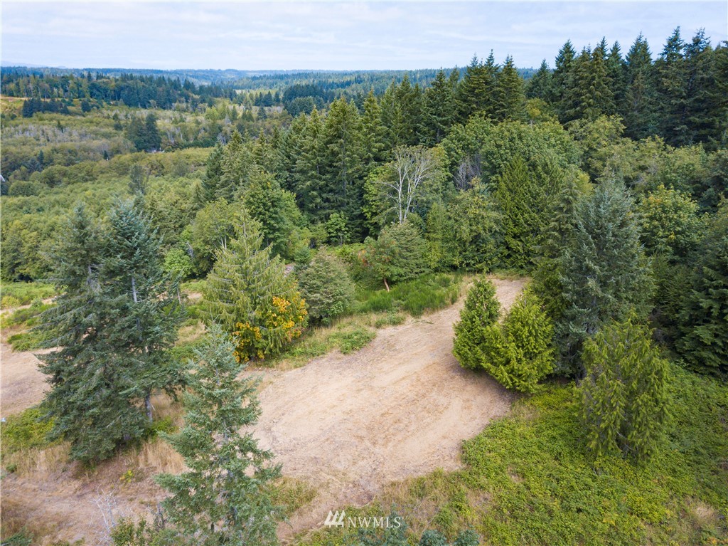 123 Olalla Valley Road Southeast Olalla, WA 98359 - Photo 15 of 19 Gallery Image 15