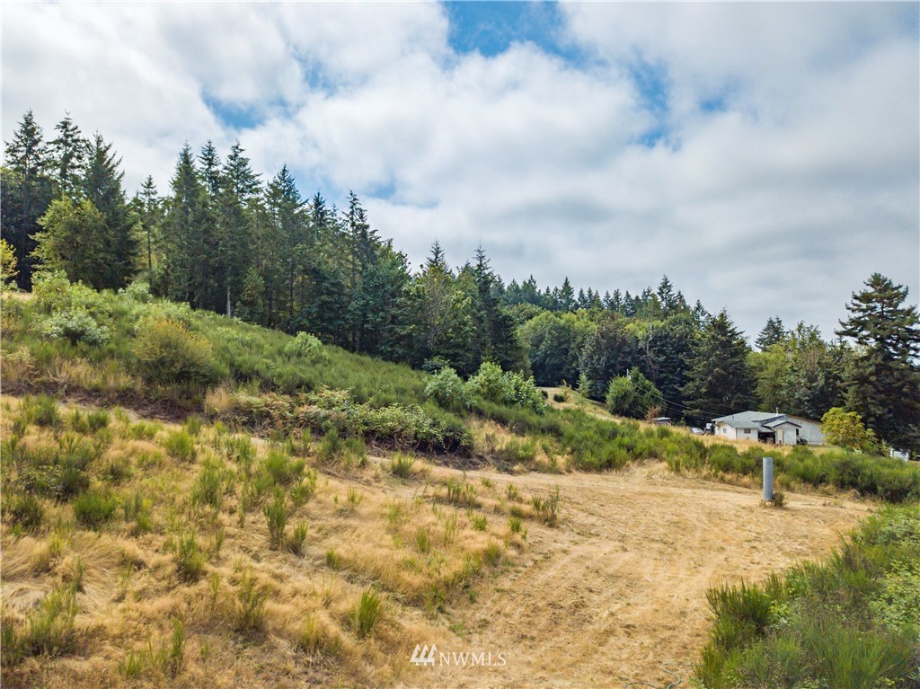 123 Olalla Valley Road Southeast Olalla, WA 98359 - Photo 17 of 19 Gallery Image 17