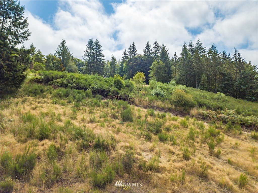 123 Olalla Valley Road Southeast Olalla, WA 98359 - Photo 18 of 19 Gallery Image 18