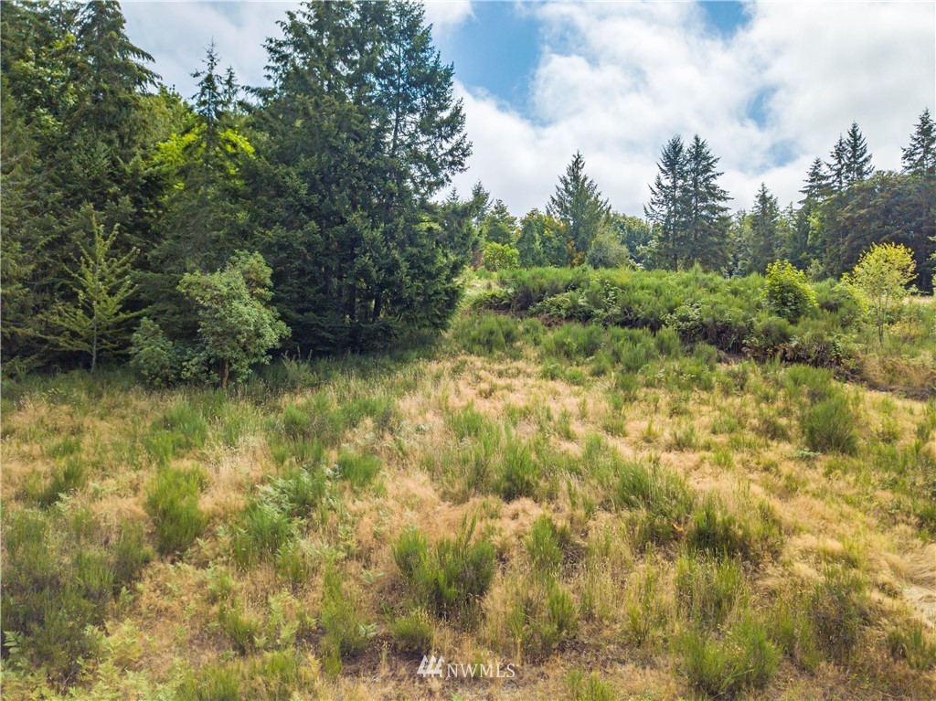 123 Olalla Valley Road Southeast Olalla, WA 98359 - Photo 19 of 19 Gallery Image 19