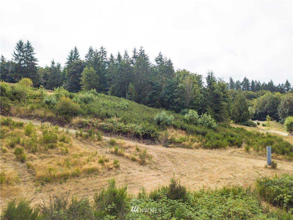 123 Olalla Valley Road Southeast Olalla, WA 98359 - Photo 8 of 19 Gallery Image 8