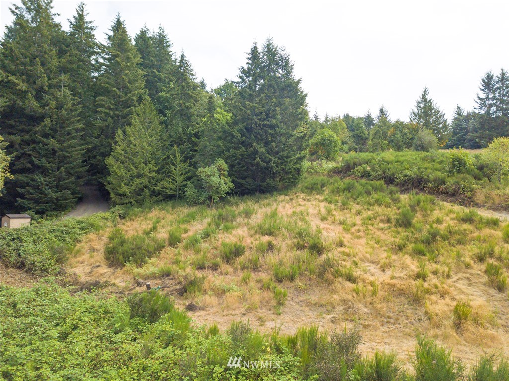 123 Olalla Valley Road Southeast Olalla, WA 98359 - Photo 9 of 19 Gallery Image 9