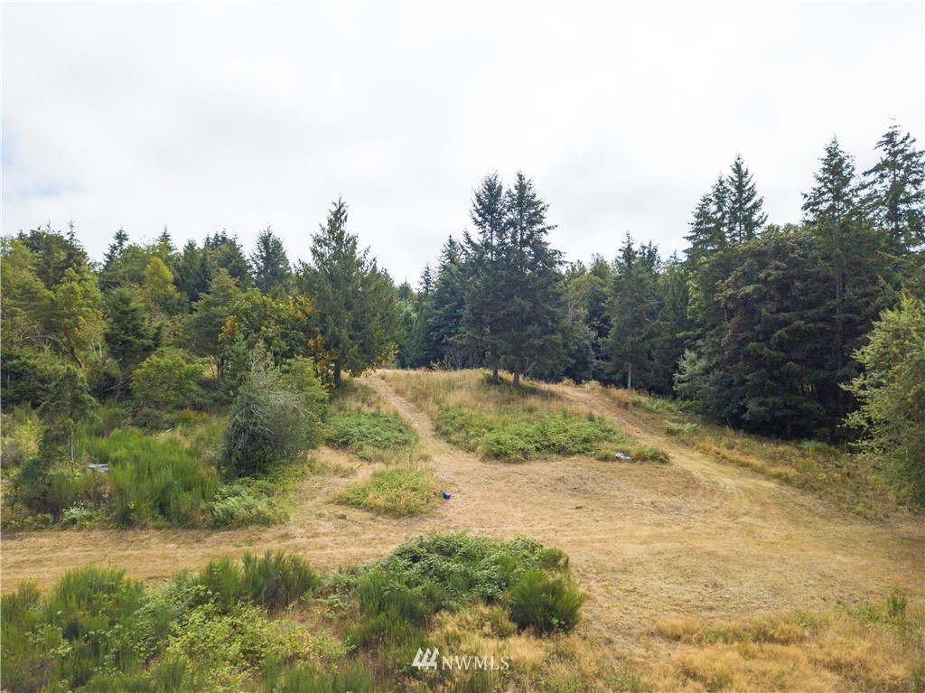 123 Olalla Valley Road Southeast Olalla, WA 98359 - Photo 10 of 19 Gallery Image 10