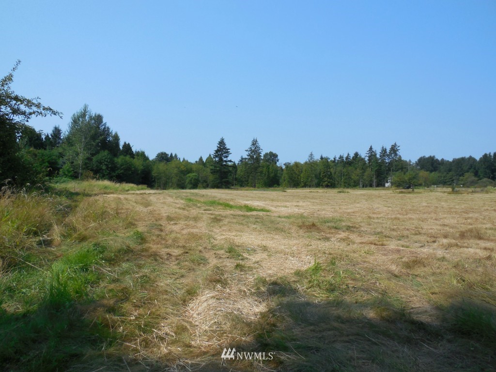 7985 Kickerville Road Blaine, WA 98230 - Photo 2 of 20