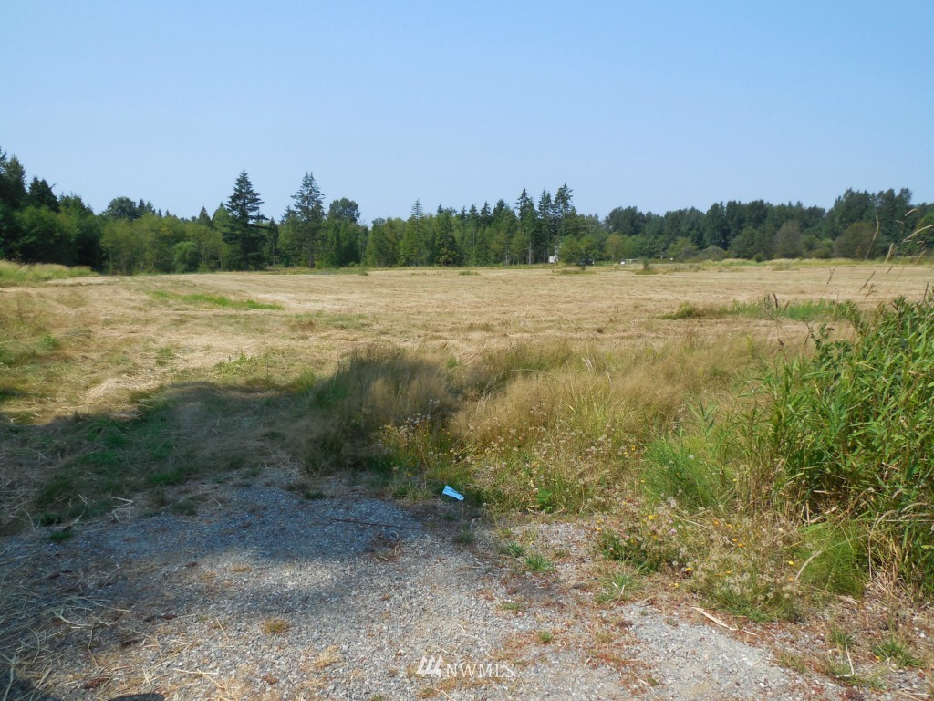 7985 Kickerville Road Blaine, WA 98230 - Photo 12 of 20