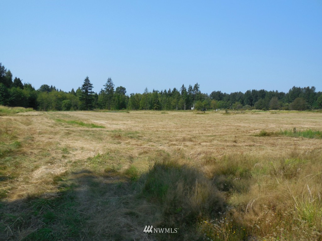 7985 Kickerville Road Blaine, WA 98230 - Photo 15 of 20
