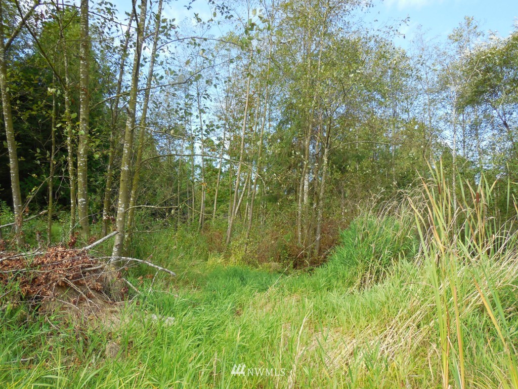 7985 Kickerville Road Blaine, WA 98230 - Photo 19 of 20
