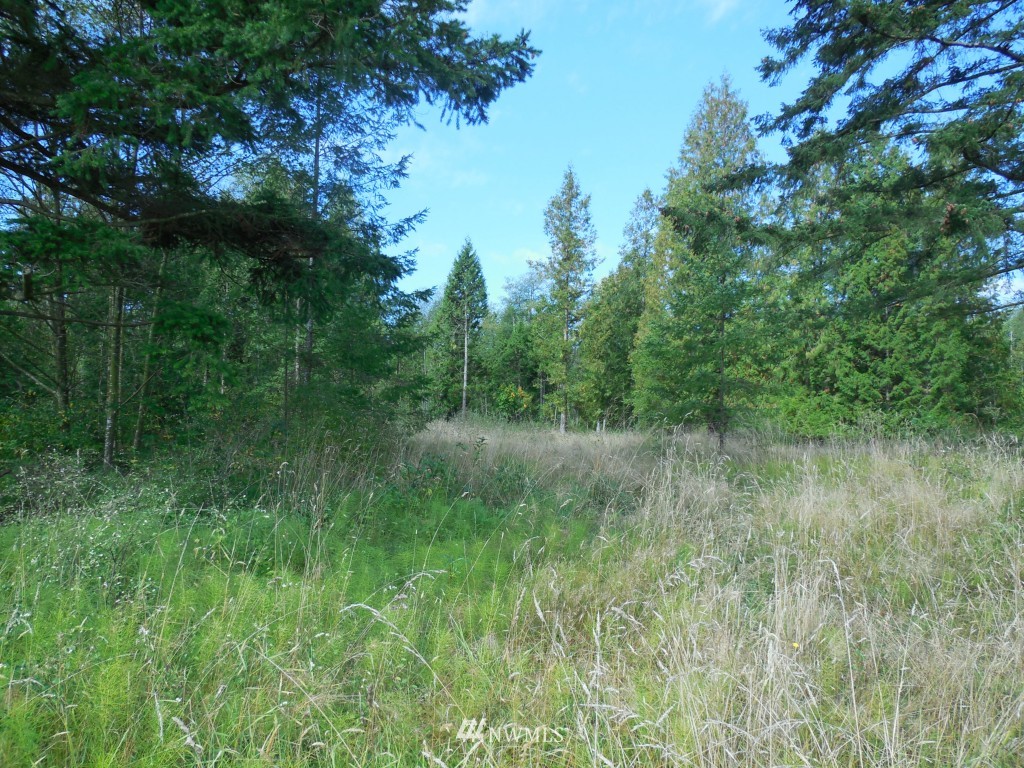 7985 Kickerville Road Blaine, WA 98230 - Photo 20 of 20