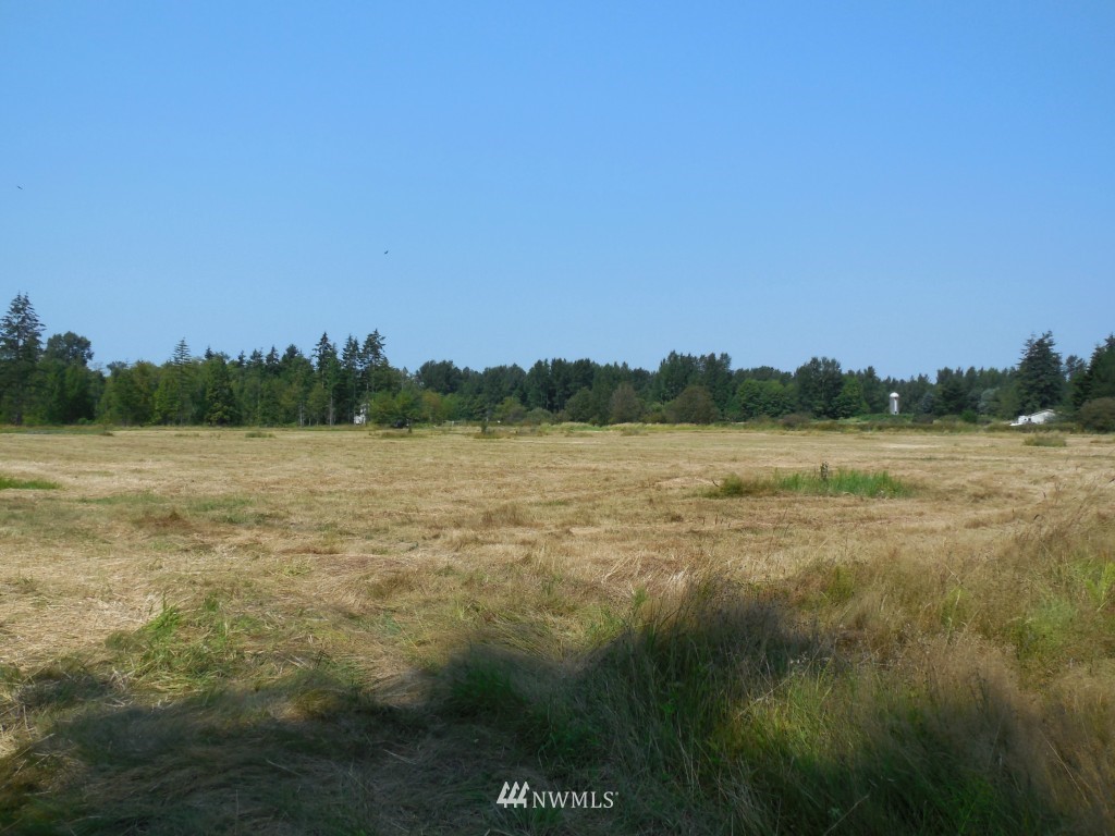 7985 Kickerville Road Blaine, WA 98230 - Photo 3 of 20