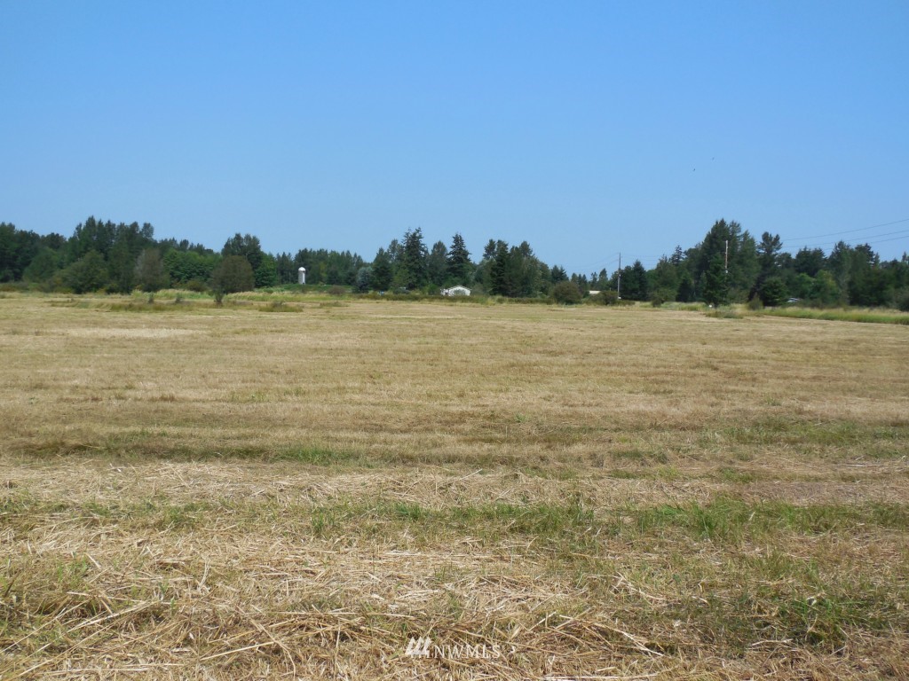 7985 Kickerville Road Blaine, WA 98230 - Photo 6 of 20