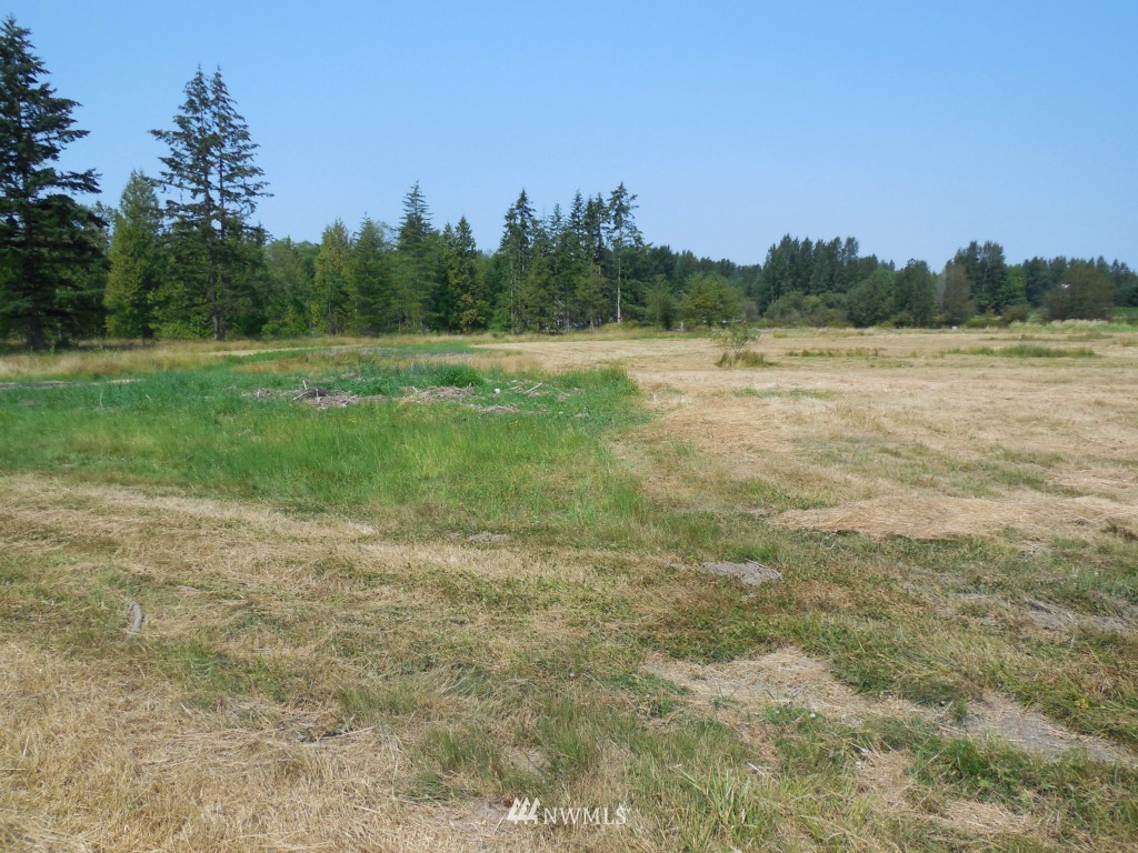 7985 Kickerville Road Blaine, WA 98230 - Photo 9 of 20