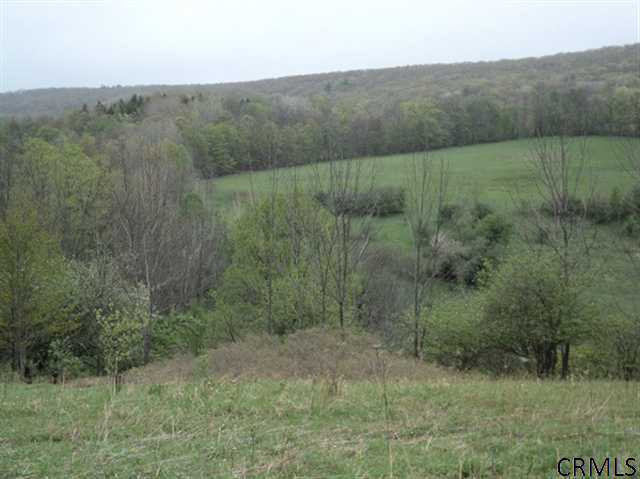 Podpadic Road Richmondville, NY 12149 - Photo 1 of 14 Photo 1