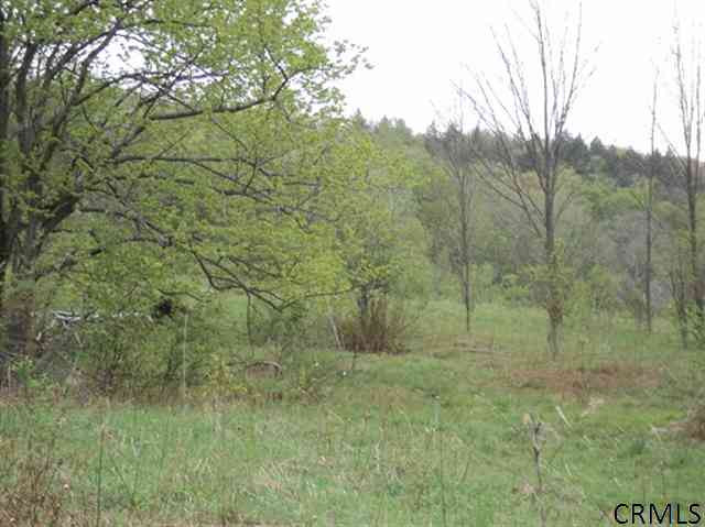Podpadic Road Richmondville, NY 12149 - Photo 11 of 14 Photo 11
