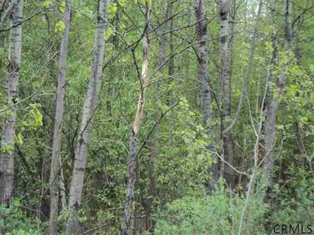 Podpadic Road Richmondville, NY 12149 - Photo 12 of 14 Photo 12
