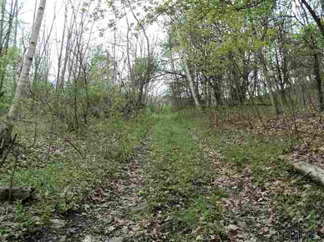 Podpadic Road Richmondville, NY 12149 - Photo 2 of 14 Photo 2