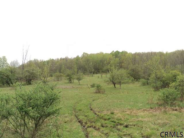 Podpadic Road Richmondville, NY 12149 - Photo 3 of 14 Photo 3