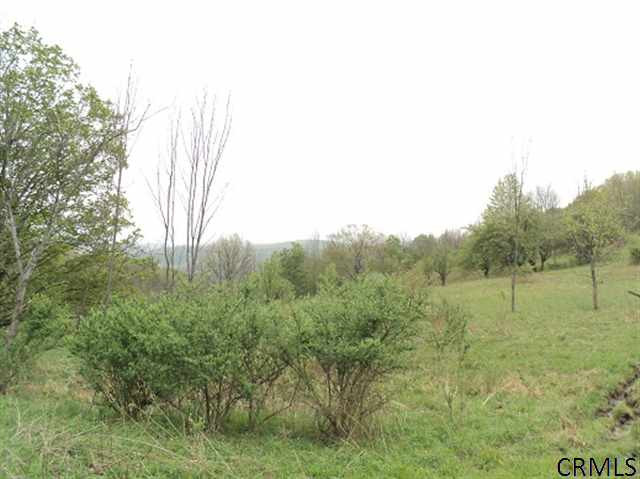 Podpadic Road Richmondville, NY 12149 - Photo 4 of 14 Photo 4