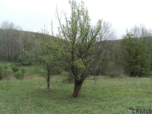 Podpadic Road Richmondville, NY 12149 - Photo 6 of 14 Photo 6