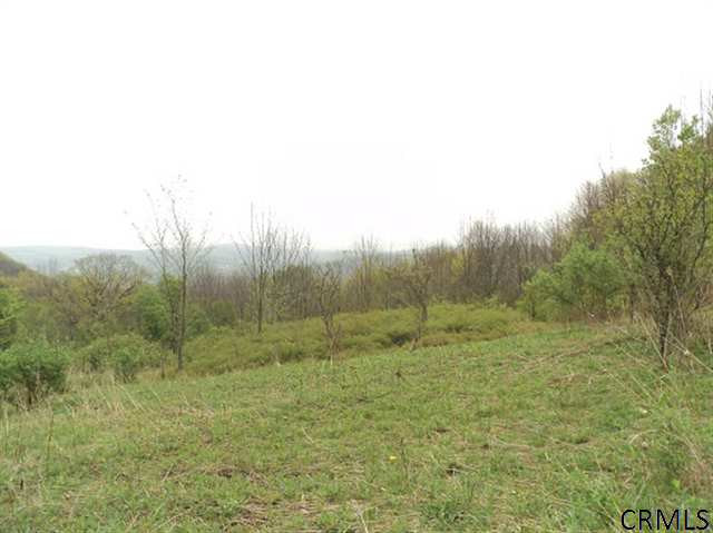 Podpadic Road Richmondville, NY 12149 - Photo 9 of 14 Photo 9