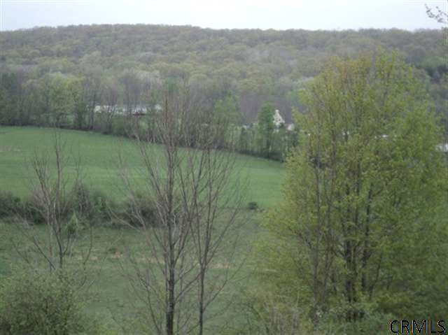 Podpadic Road Richmondville, NY 12149 - Photo 10 of 14 Photo 10