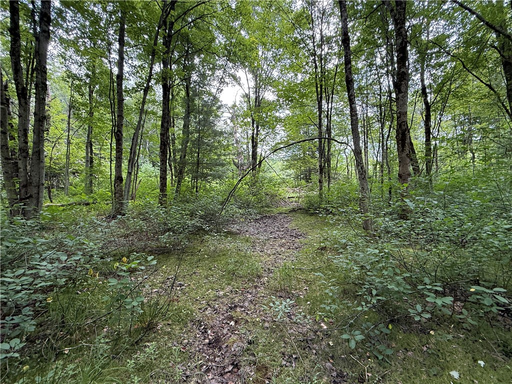 82 O Hara Road Redfield, NY 13437 - Photo 38 of 50 Gallery Image 38