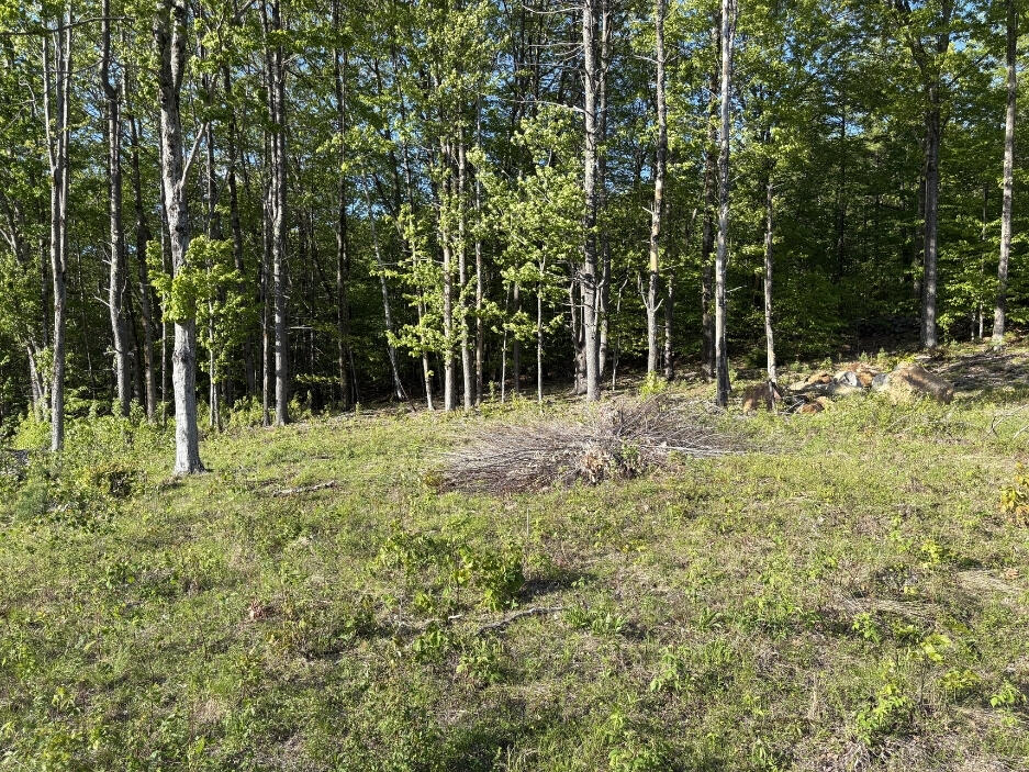 27 G Pease Hill Road Cornish, ME 04020 - Photo 25 of 25 land 12