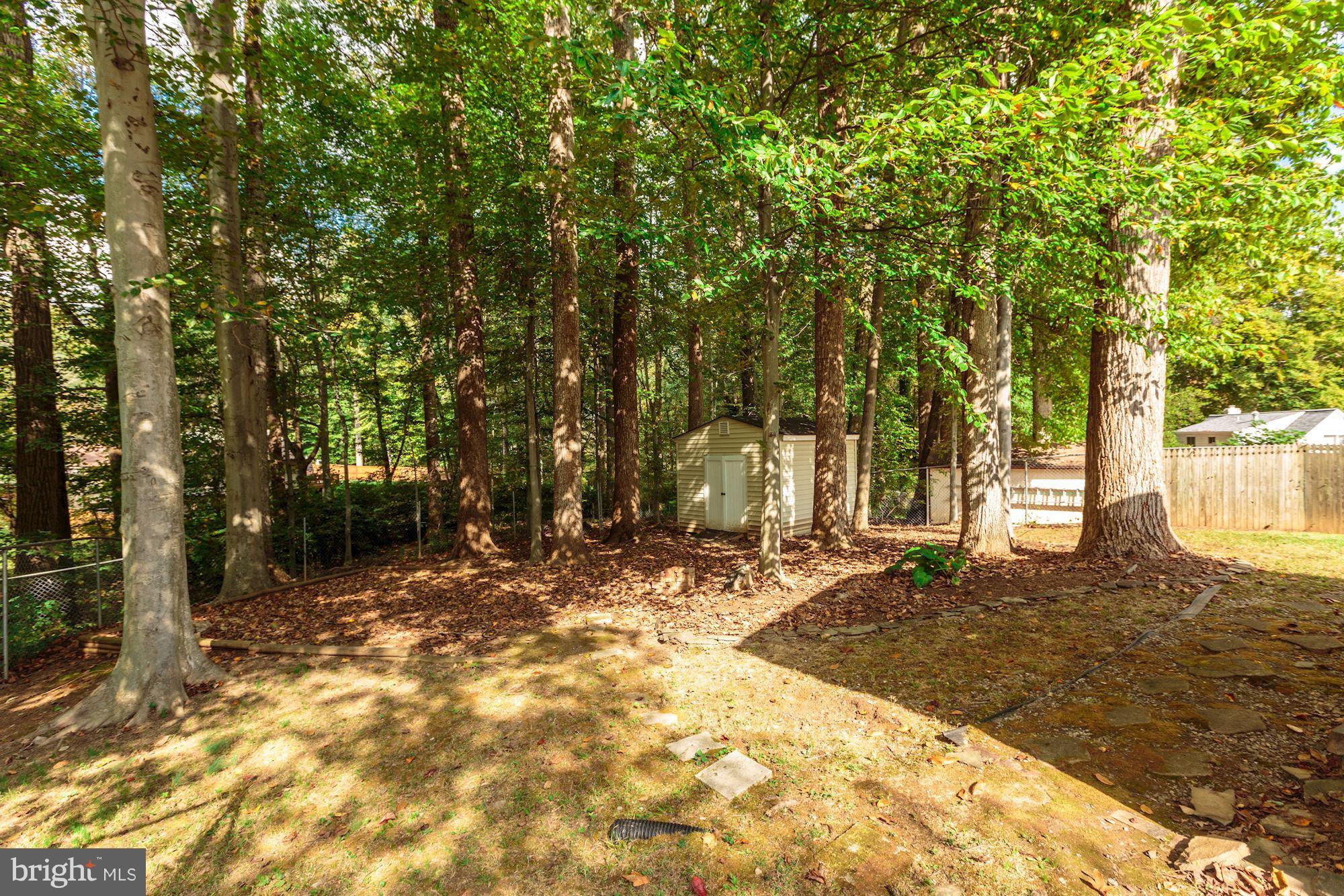 8425 Thames Street Springfield, VA 22151 - Photo 28 of 30 a view of a yard with plants and trees