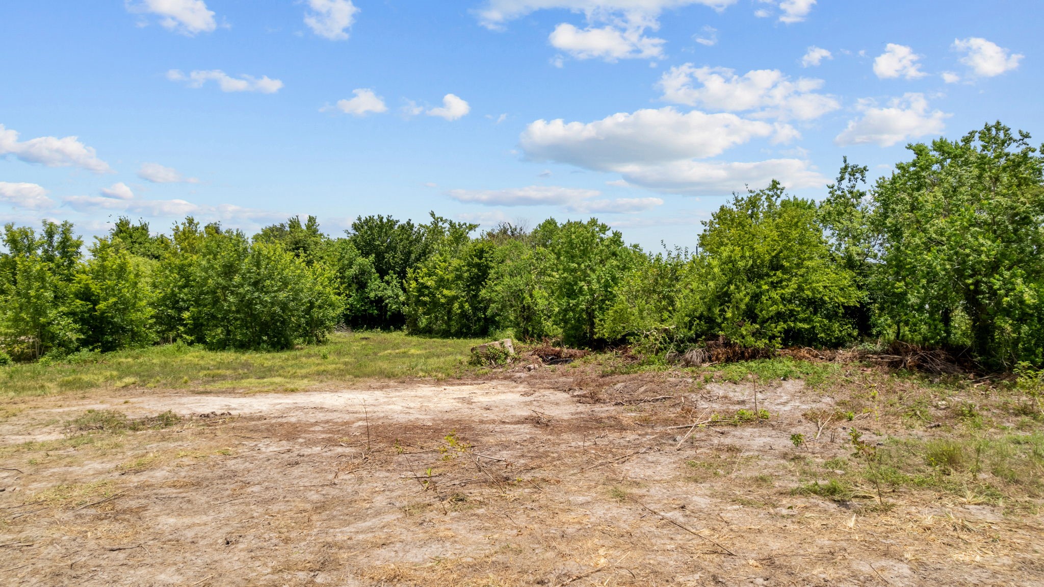 1403 Algoa-Friendswood Road Alvin, TX 77511 - Photo 11 of 21 a view of a yard with a tree