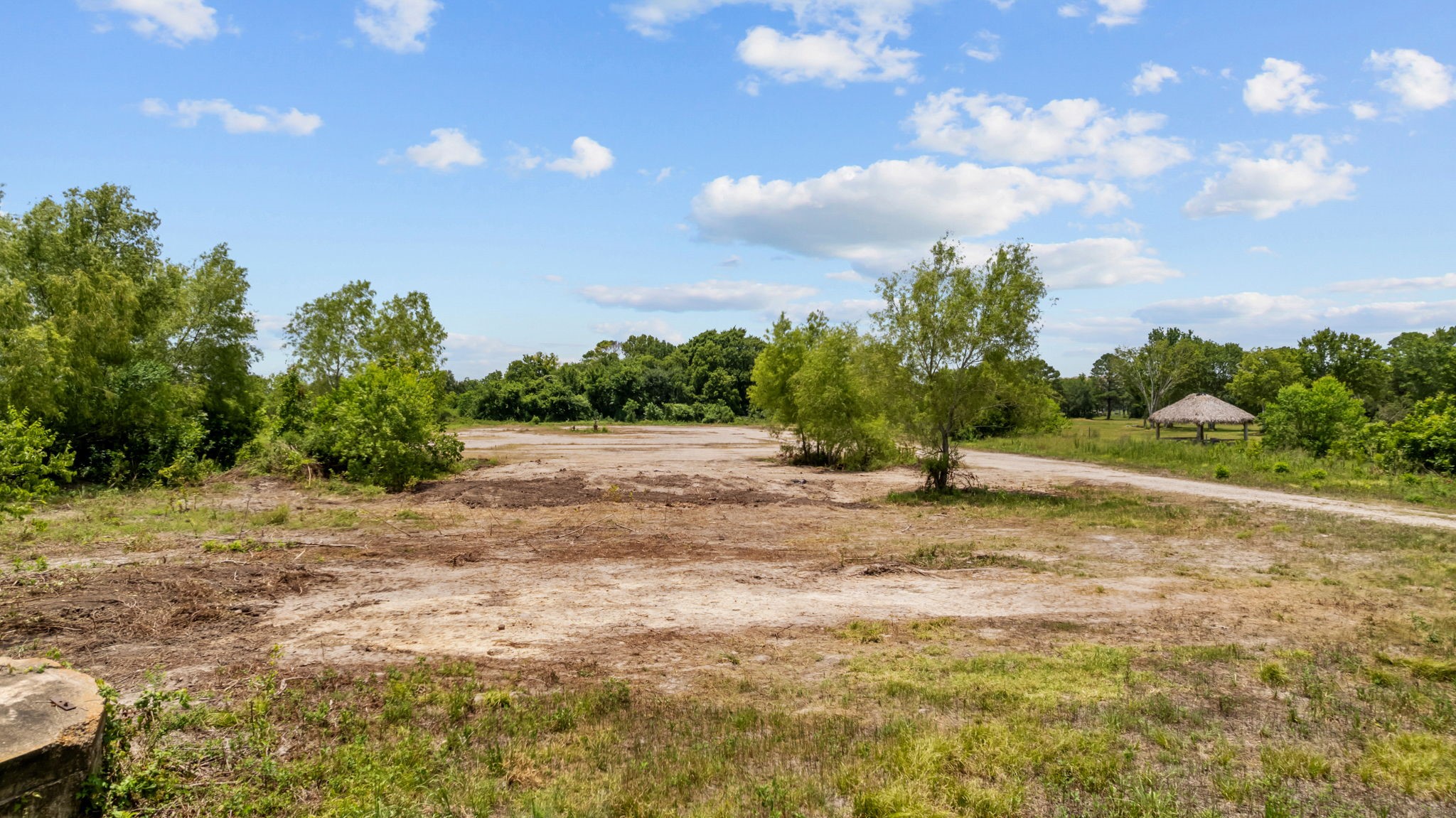 1403 Algoa-Friendswood Road Alvin, TX 77511 - Photo 7 of 21 a view of a yard with plants and a trees