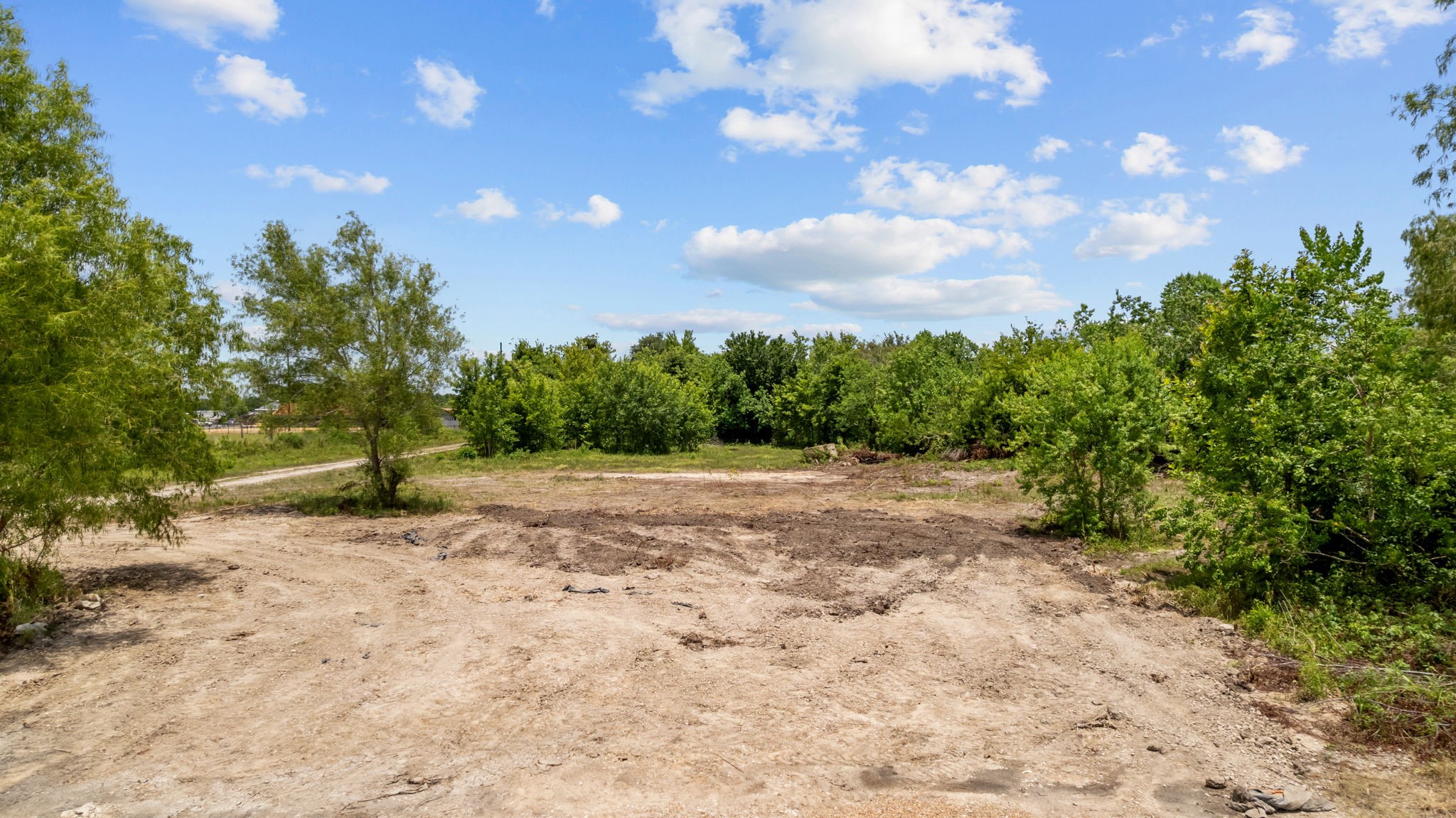 1403 Algoa-Friendswood Road Alvin, TX 77511 - Photo 10 of 21 a view of a yard with a tree